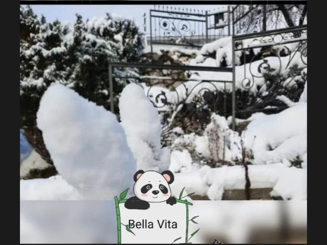 Apartman Bella Vita コラシン 部屋 写真